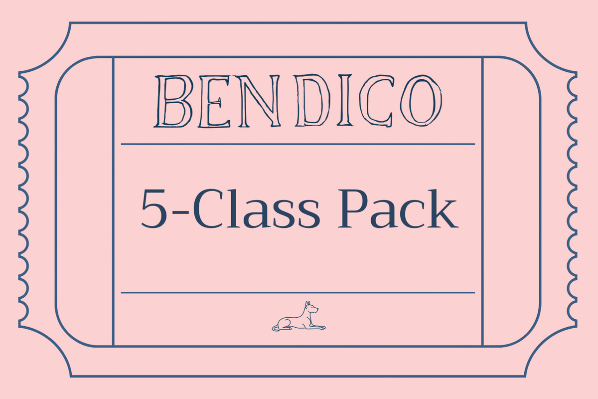 5-Class Pack (£18 Per Class)