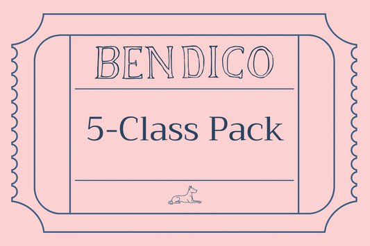 5-Class Pack (£18 Per Class)