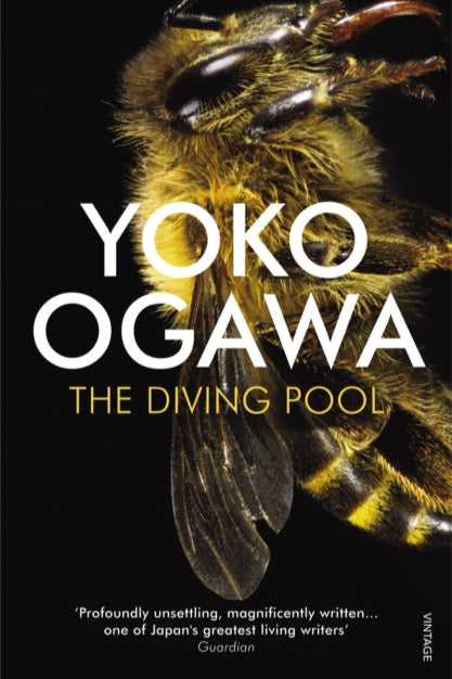 9780099521358-The Diving Pool