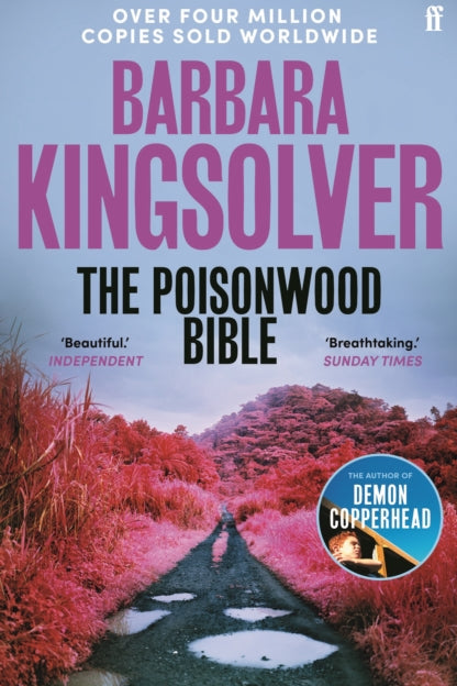 Book cover of 'The Poisonwood Bible' by Barbara Kingsolver with a scenic pink landscape.