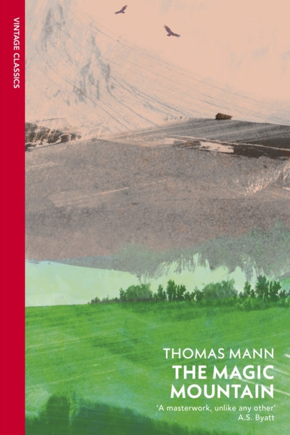 Book cover of 'The Magic Mountain' by Thomas Mann with a mountain landscape illustration.
