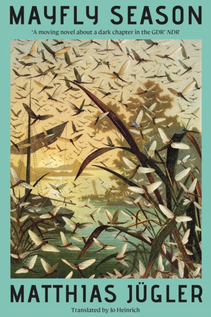 Book cover of 'Mayfly Season' by Matthias Jügler with illustrations of insects and plants.