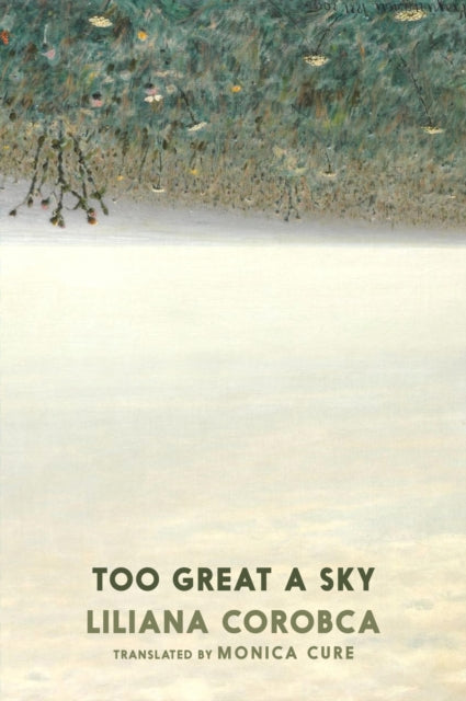 Book cover of 'Too Great a Sky' by Liliana Corobca with a snowy landscape illustration.